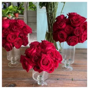 Ramo rosas rojas en florero de vidrio transparente, un diseño compacto, elegante y sofisticado ideal para regalos, decoraciones románticas y celebraciones especiales.